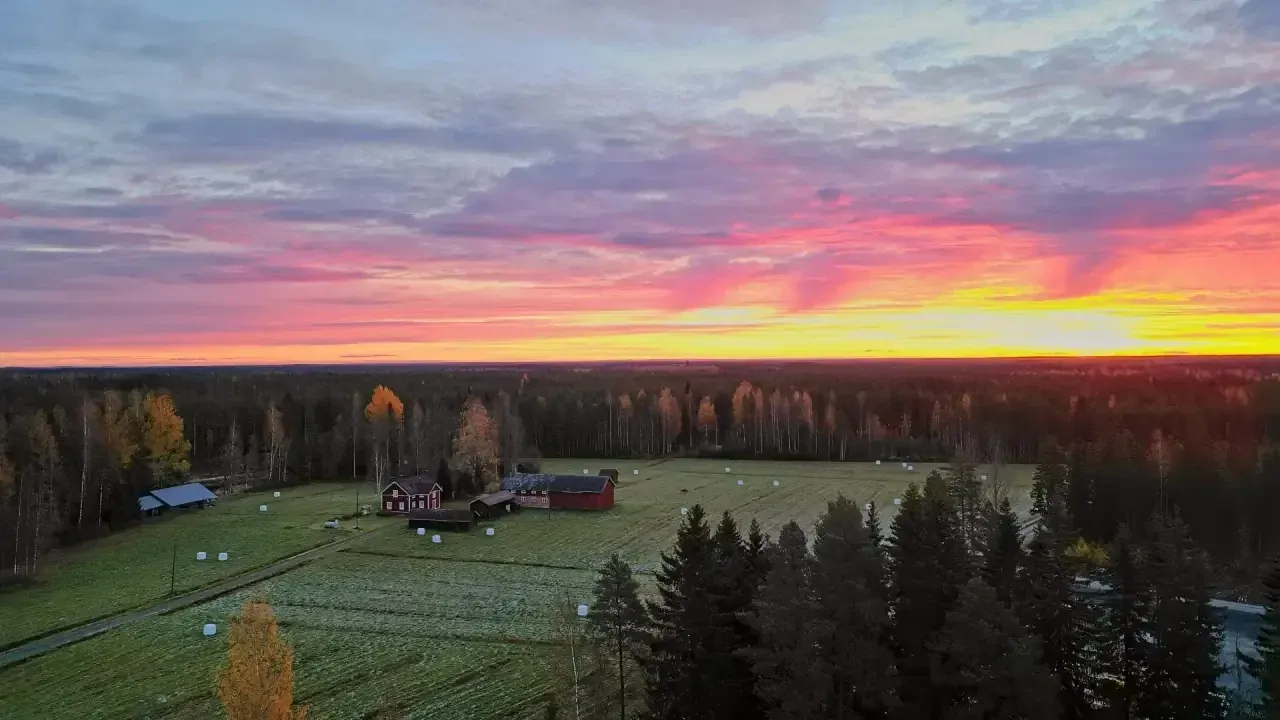 Ilmakuva Alavudelta: auringonlasku pellon ja metsän yllä